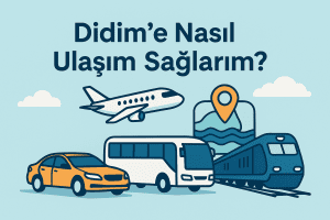 Didim’e Nasıl Ulaşım Sağlarım